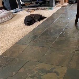 Meet your Posher, Trish